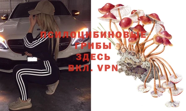 гидропоника Осташков