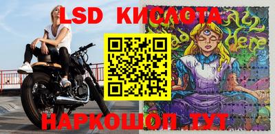 PSILOCYBIN Бугуруслан
