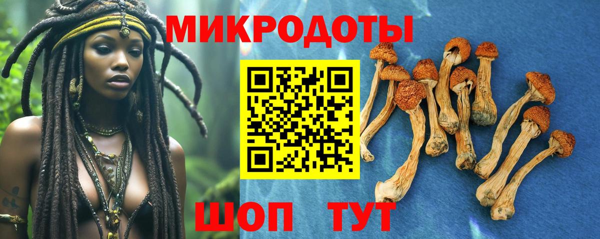 Галлюциногенные грибы MAGIC MUSHROOMS Урюпинск