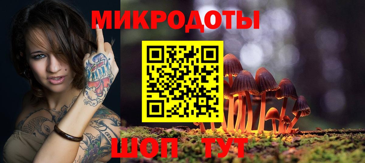 Галлюциногенные грибы Psilocybe  Урюпинск 