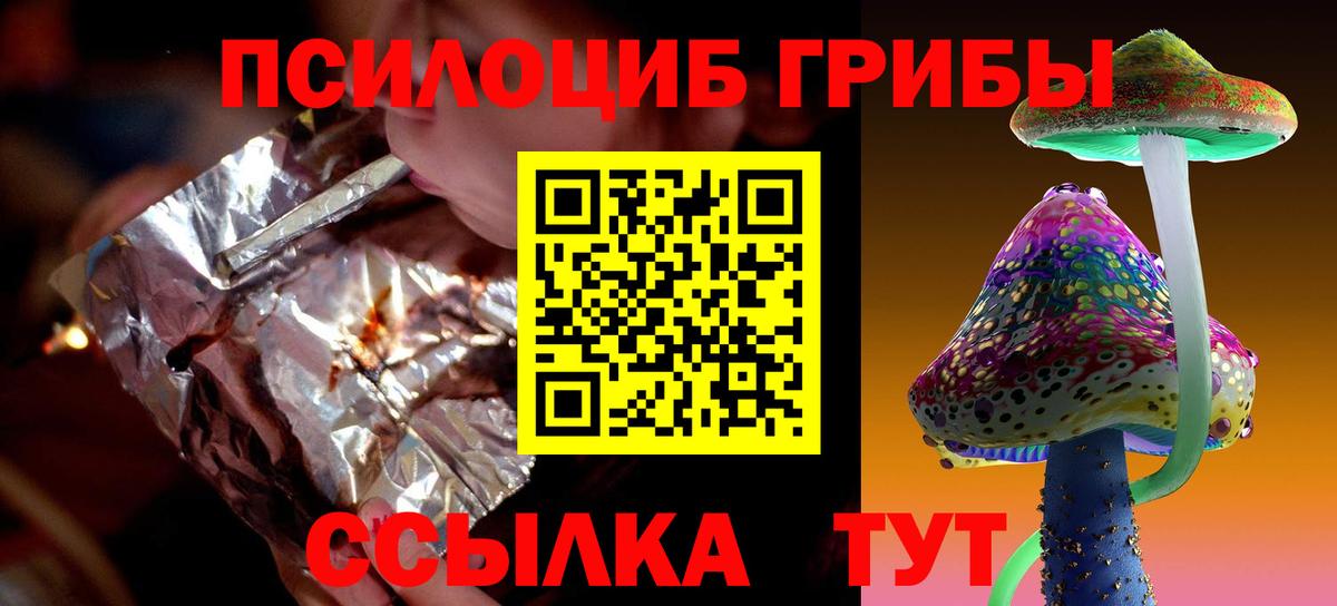 Псилоцибиновые грибы Psilocybe Урюпинск