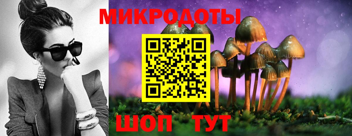 Галлюциногенные грибы Magic Shrooms  Псилоцибиновые грибы Psilocybe  Вход с VPN  Урюпинск 